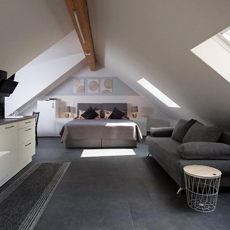 Ferienwohnung Regel Lauingen Buitenkant foto